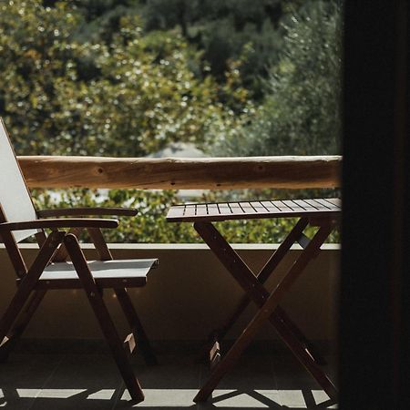 Acropolis Mystra Guesthouse 미스트라스 외부 사진
